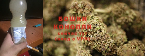 шишки Зеленодольск
