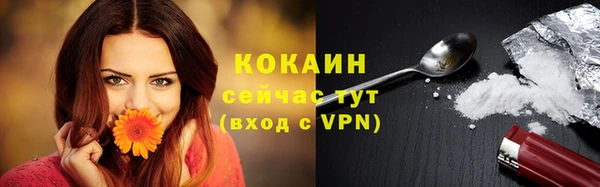 шишки Зеленодольск