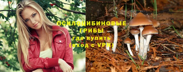 PSILOCYBIN Зеленокумск
