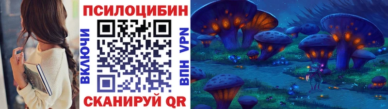 Псилоцибиновые грибы мицелий  Купить закладки  Закаменск 